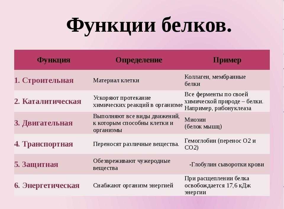 В каких продуктах содержится наибольшее количество белков, таблица