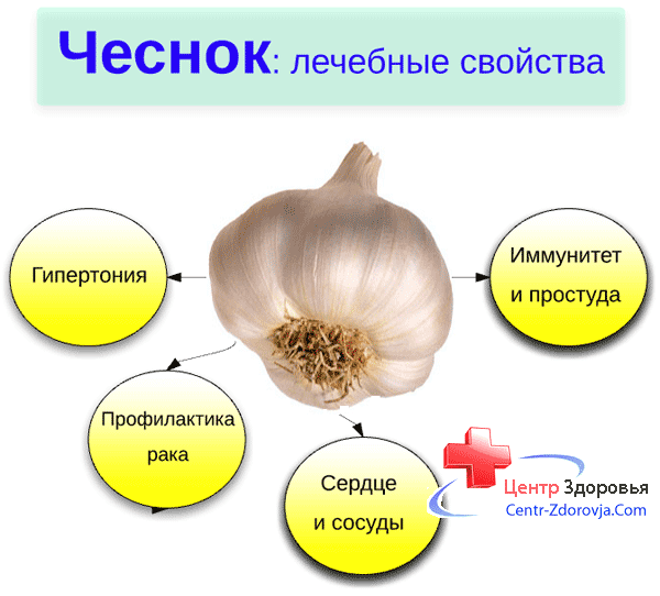 Как чеснок влияет на сердце? польза и вред, как действует на сердце
