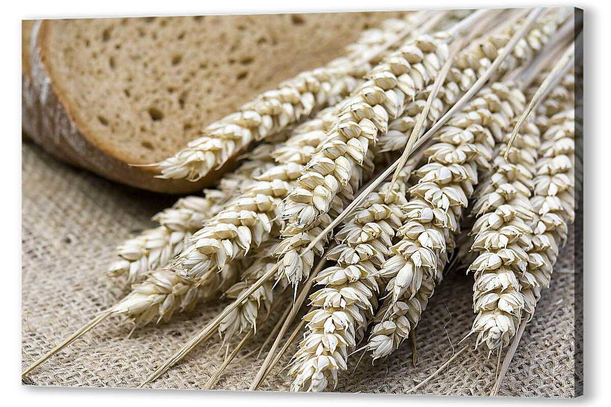 Аминокислоты в продуктах питания: таблица, какие содержат, норма потребления