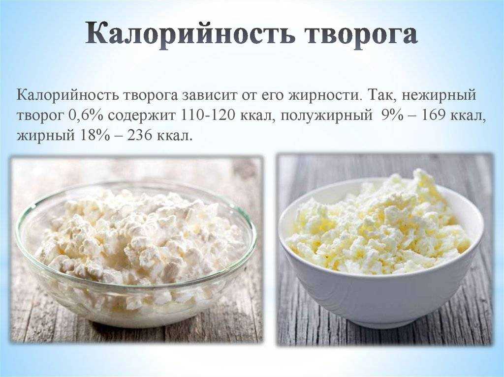 Сколько белка в 100 граммах творога разной жирности?