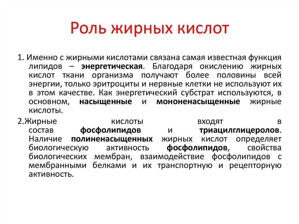 Насыщенные жиры — что это? в чем польза и в каких продуктах содержатся?