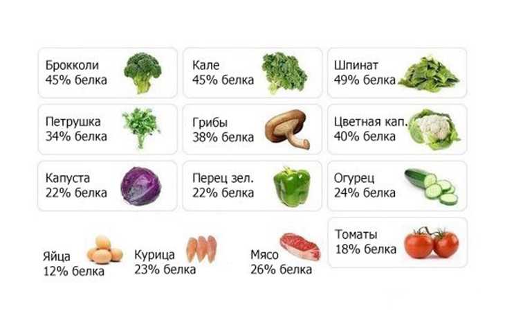В каких продуктах содержится наибольшее количество белков, таблица