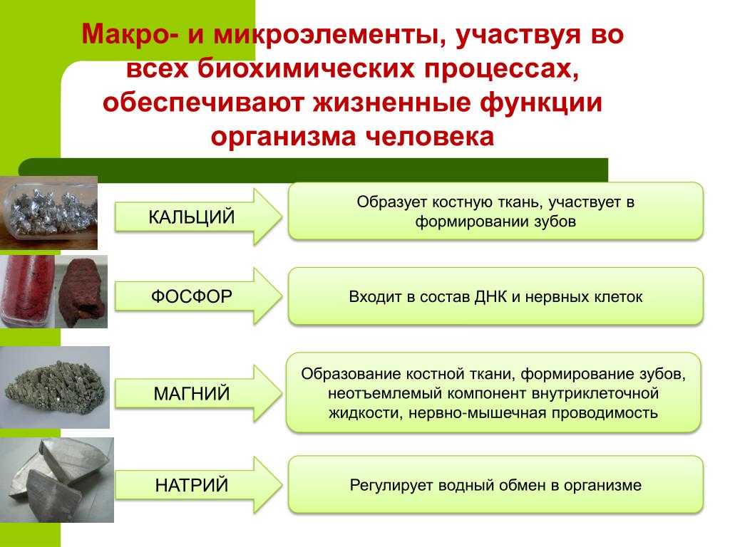 Биологическое значение химических элементов презентация