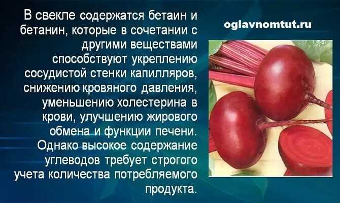 Польза и вред свеклы / как важный компонент борща влияет на здоровье – статья из рубрики "польза или вред" на food.ru