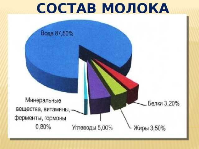 Цельное молоко: состав, польза, вред, рецепты
