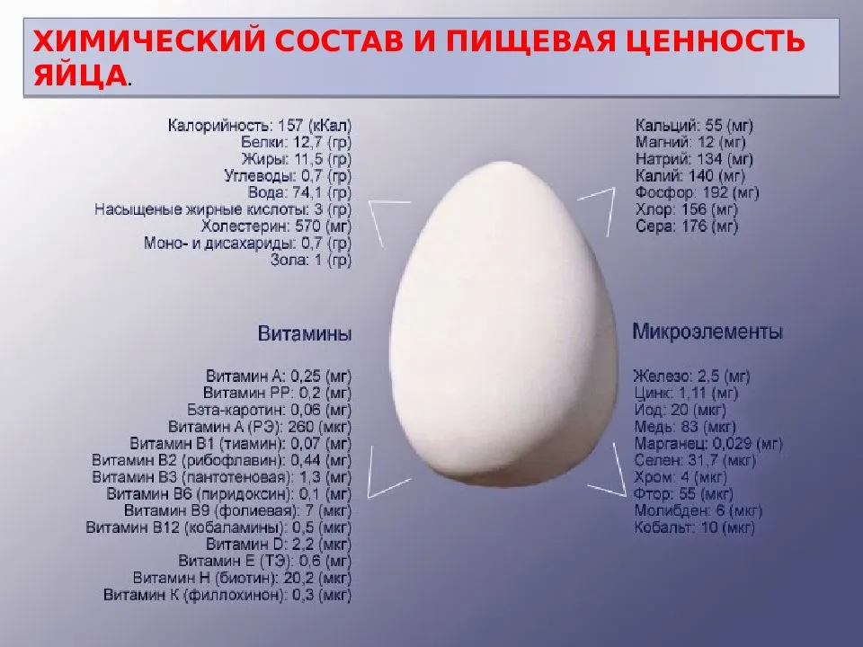 Куриный белок вода. Пищевая ценность яйца на 100 грамм. Яйцо пищевая ценность в 100 гр. Хим состав скорлупы куриного яйца. Пищевая ценность куриного яйца.