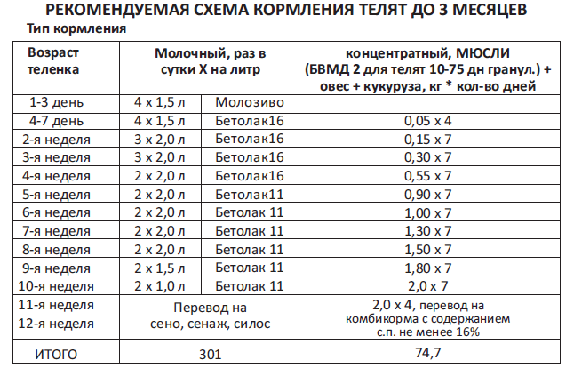 Схема выпойки молока телятам таблица