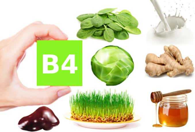 Витамин b4: холин в таблетках, ампулах | food and health