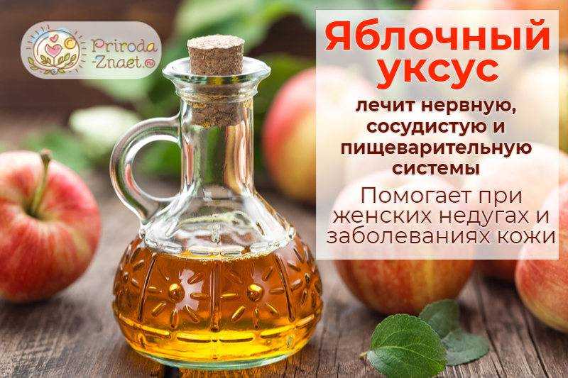 Говяжье сердце: бжу (содержание белков, жиров, углеводов), калорийность, питательная ценность и польза