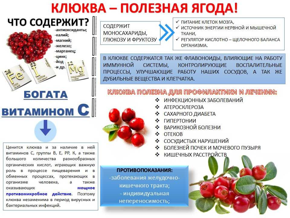 Клюквенный морс: польза и вред для здоровья, можно ли при беременности, грудном вскармливании, простуде, противопоказания, рецепты