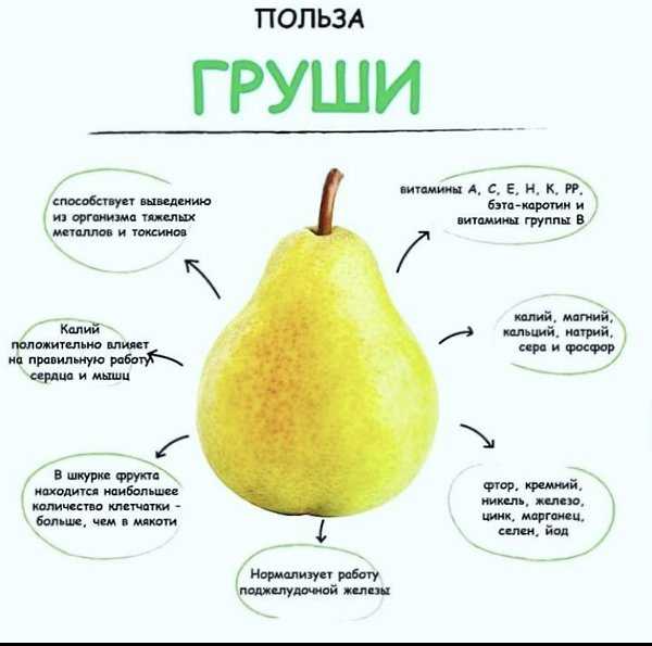 Груша - необычная культура с многотысячелетней историей Польза от ее употребления иногда незаслуженно недооценивается За многие годы усилиями селекционеров создано несколько тысяч сортов, отличающихся формой плодов и их вкусовыми качествами Краснобокие сл