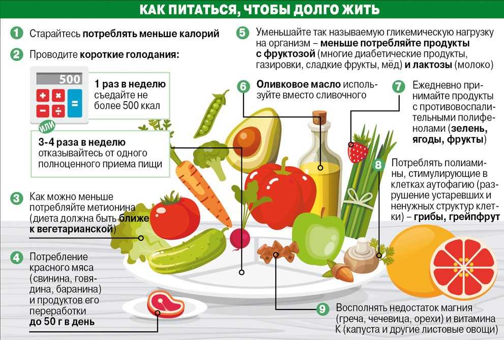Полезные рецепты из овощей и чем они помогают