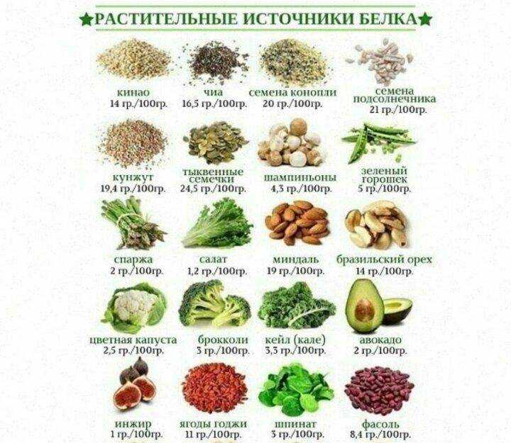 В каких продуктах содержится белок? таблица с высоким содержанием протеина