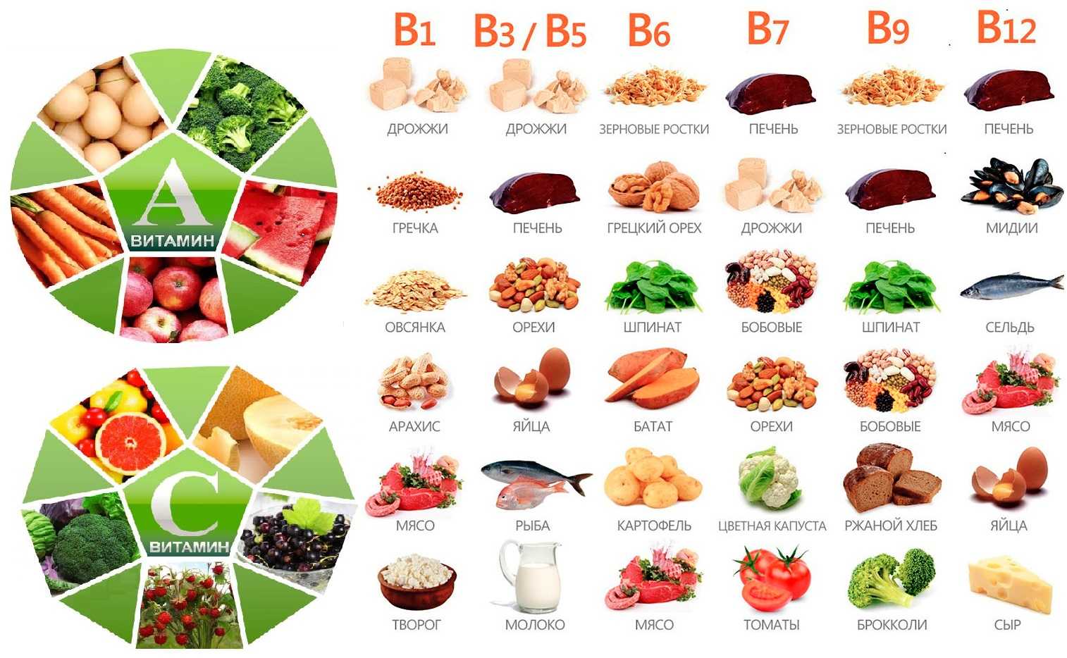 Витамины группы в картинки