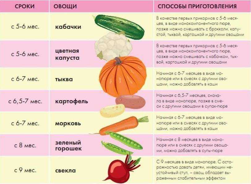 Кормим детей правильно: сбалансированное питание от а до я