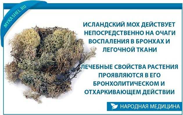 Список недорогих и эффективных сиропов от сухого кашля