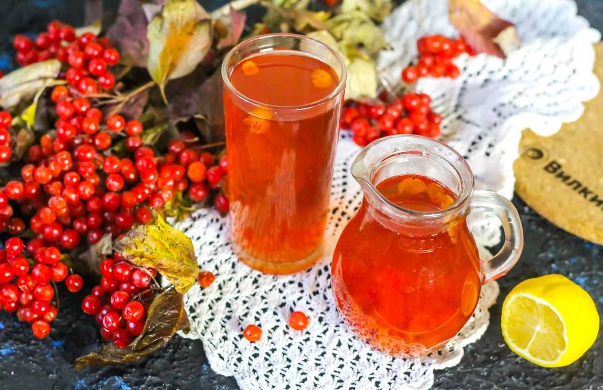 Брусничный компот: рецепты приготовления в домашних условиях