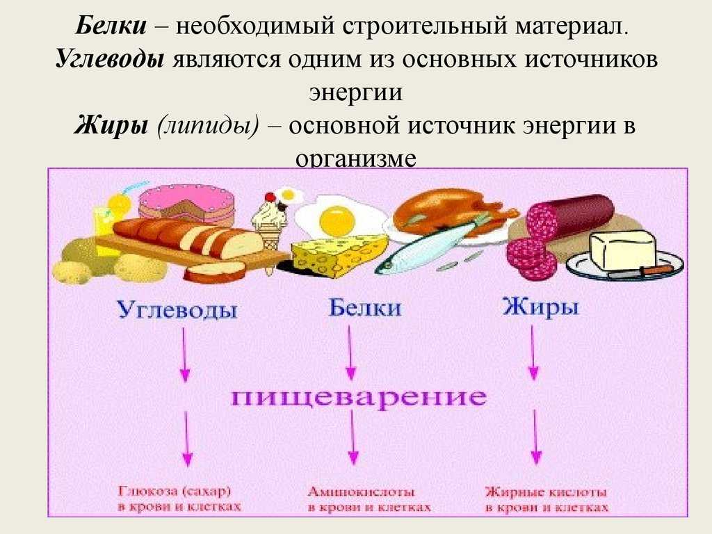 Калорийность молоко деревенское. химический состав и пищевая ценность.
