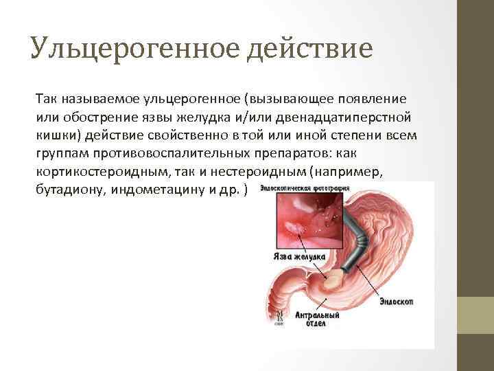Как пить шиповник при гастрите: 6 народных рецептов - лечуживот.ру