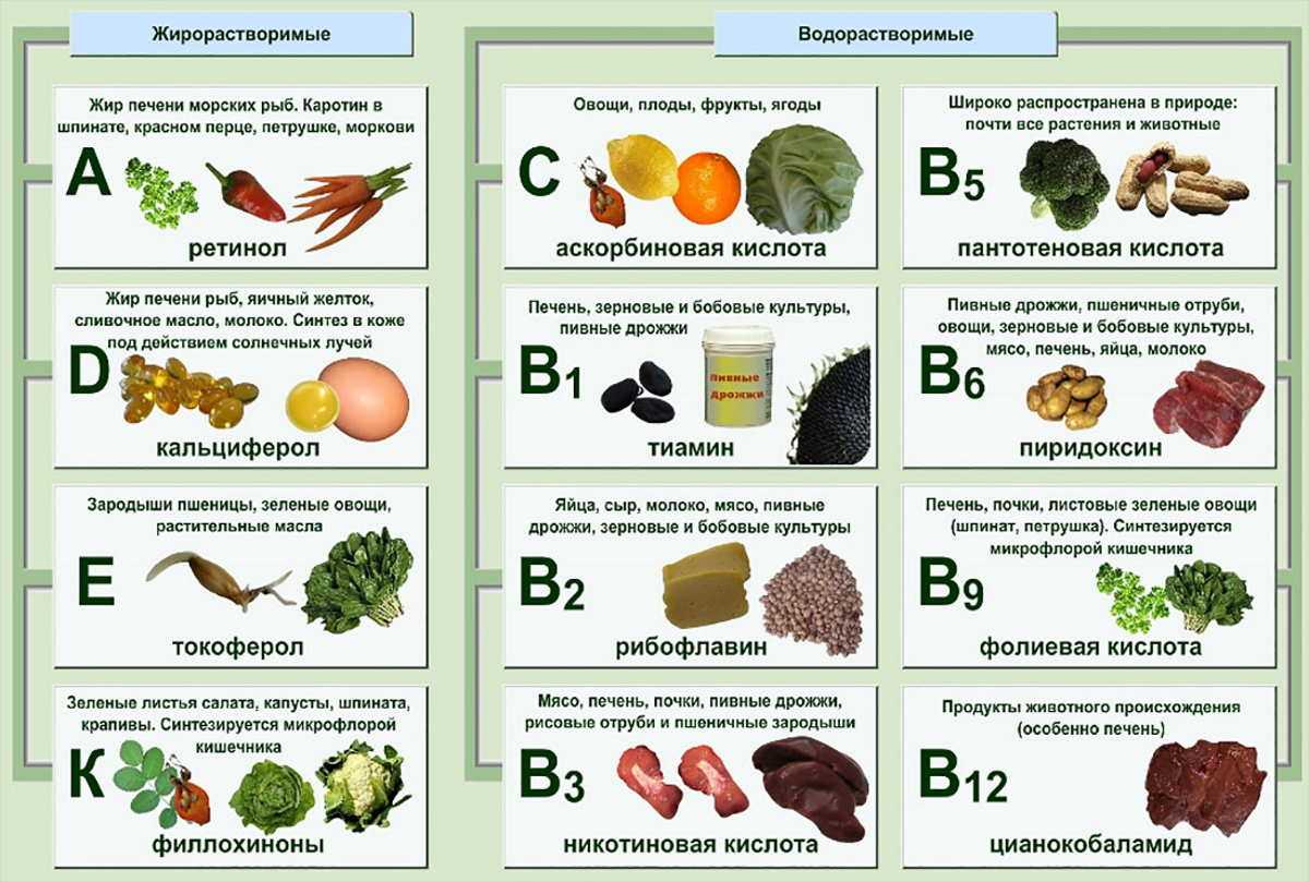 В каких продуктах содержится витамин b?