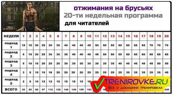 Тренировочная программа – как отжиматься 100 раз | rulebody.ru — правила тела