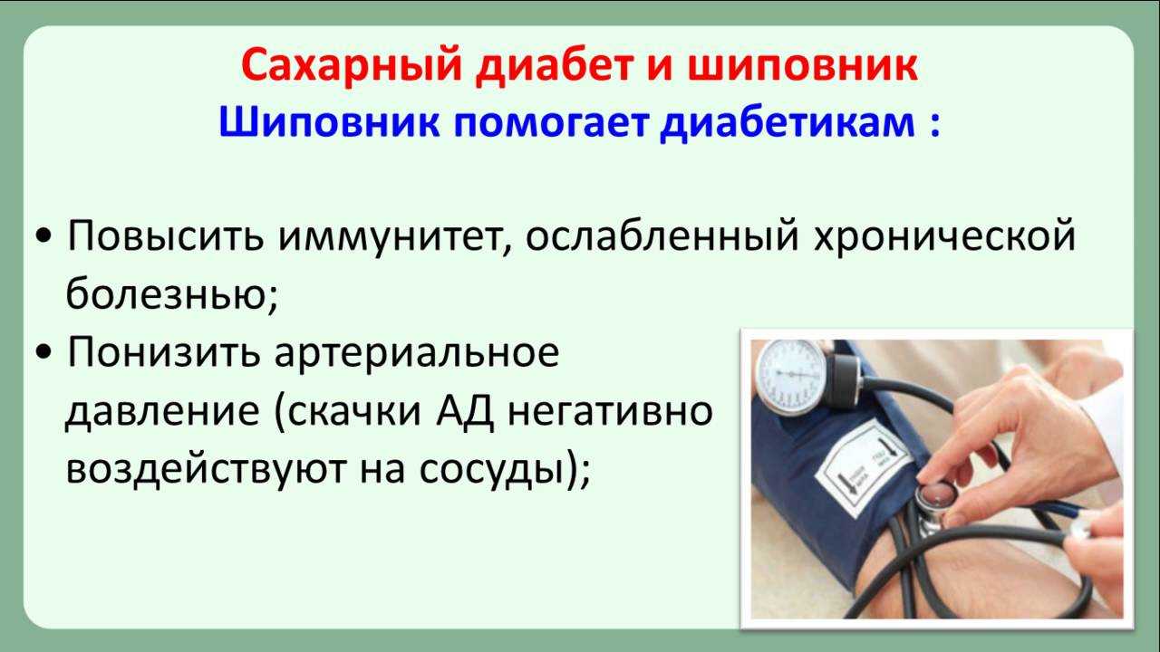 Можно ли пить при сахарном диабете. Шиповник при сахарном диабете. Шиповник при диабете 2. Шиповник и сахарный диабет. Отвар шиповника при сахарном диабете.