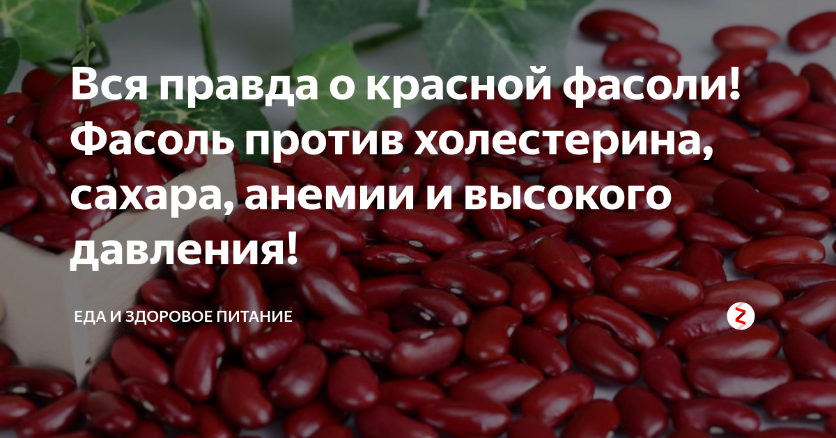 Диета на фасоли: быстрое похудение за неделю на питательной пище с отзывами и результатами | диеты и рецепты