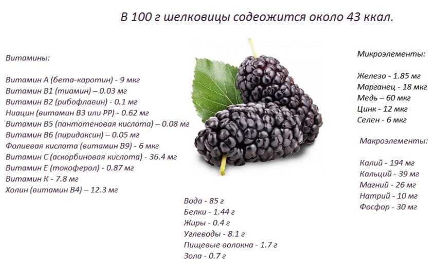 Калорийность укропа