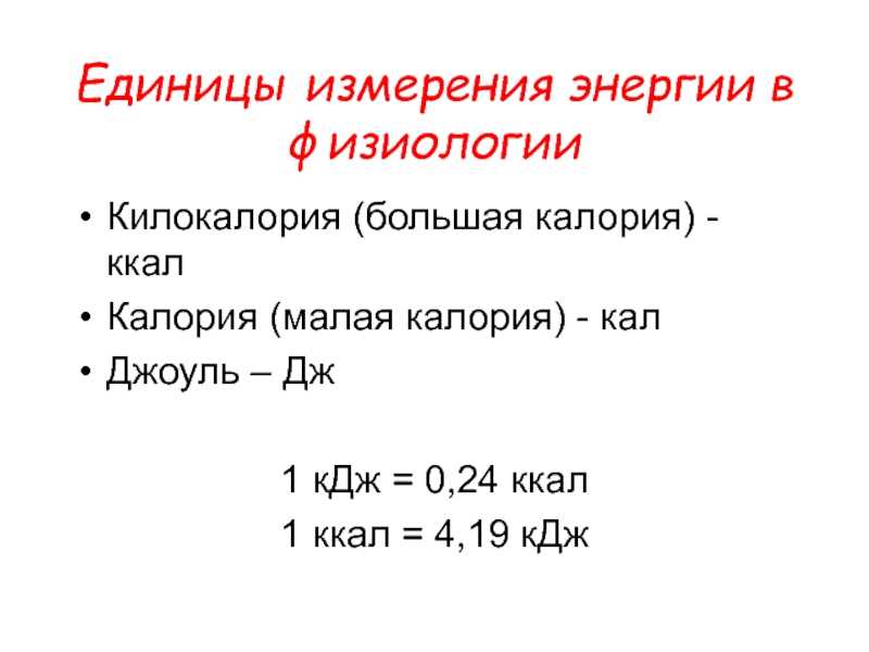 Оптимальное соотношение белков, жиров и углеводов для правильного питания
