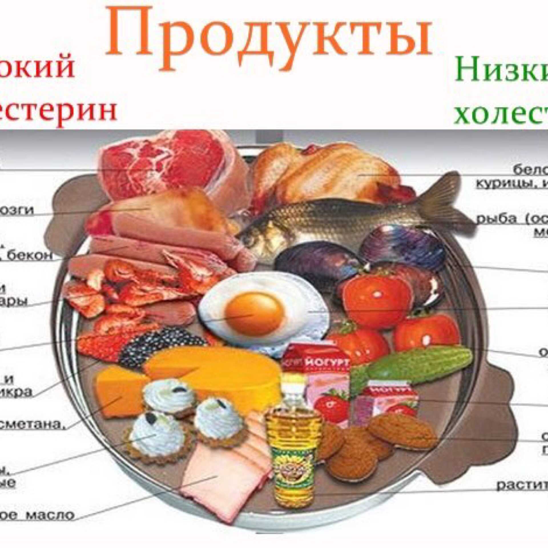 Эффективное снижение жировой массы за четыре дня упражнений и ограничения калорийности питания