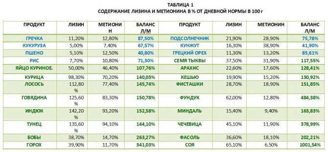 Продукты, содержащие аминокислоты: таблица заменимых и незаменимых