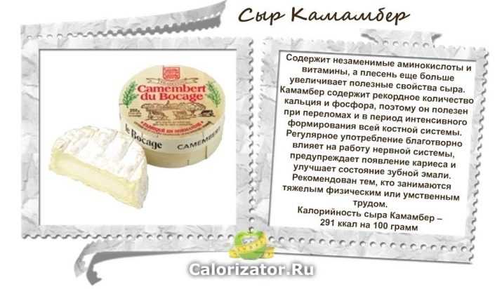 Сыр камамбер: калорийность, польза и вред, как приготовить и как правильно есть сыр с белой плесенью камамбер