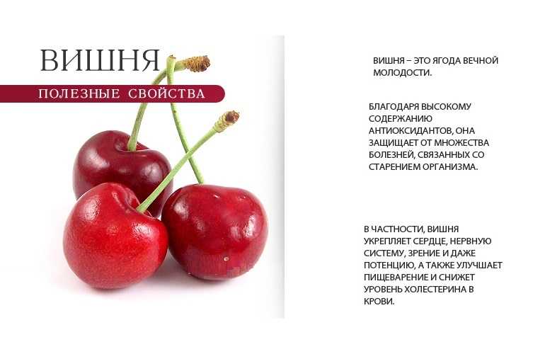 Польза и вред черешни — 8 доказанных свойств для здоровья организма, а также противопоказания