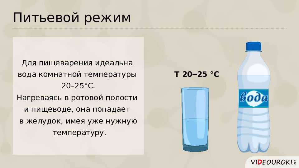 Презентация 8 класс предупреждение заболеваний почек питьевой режим презентация