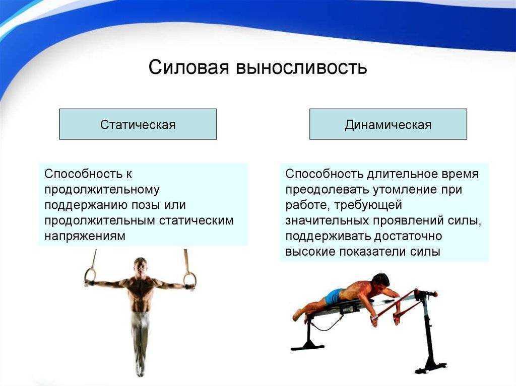 Какие мышцы работают при беге - спорт с точки зрения анатомии