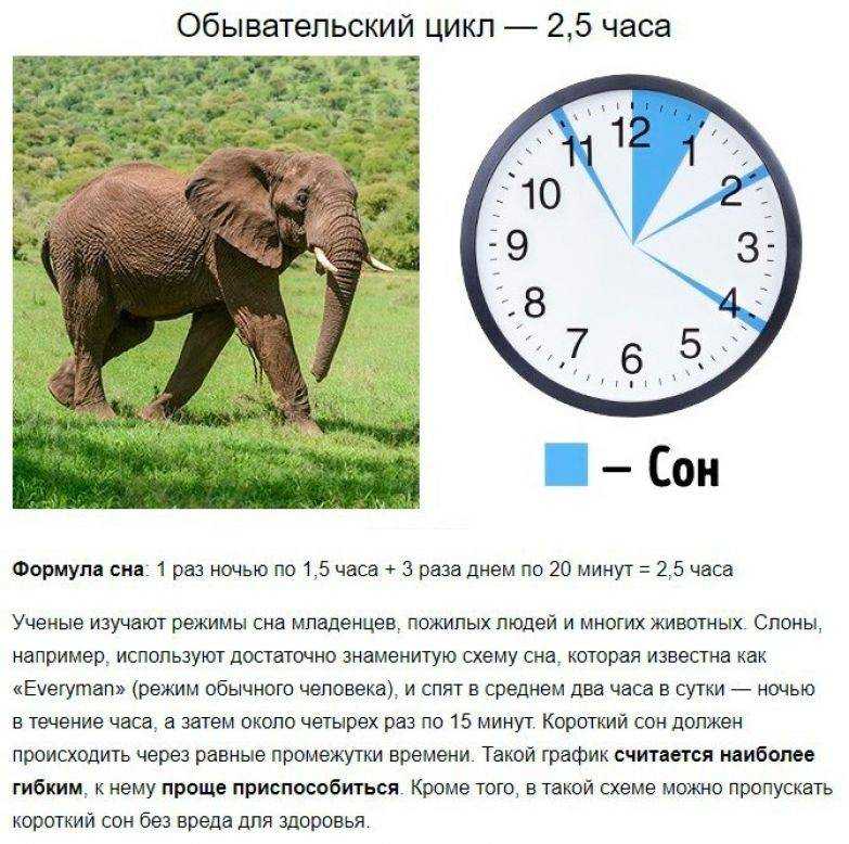 Как выспаться за короткое время