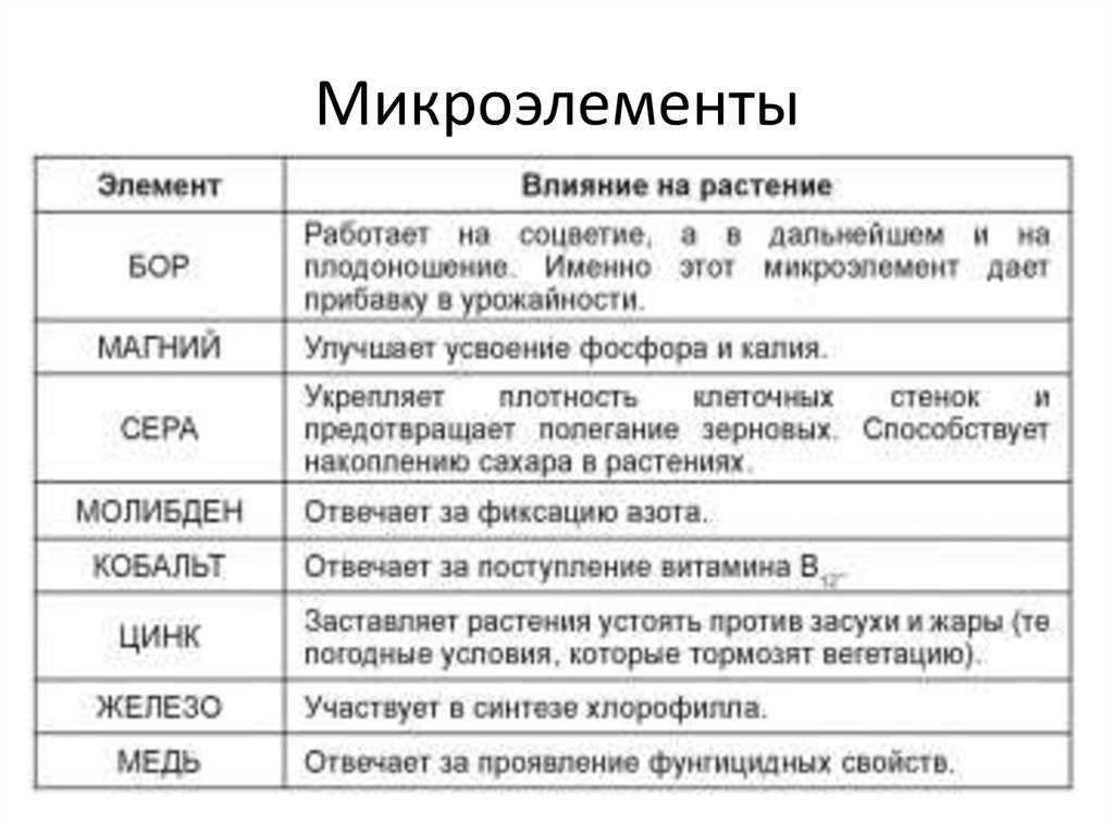 Влияние микроэлементов на организм растений презентация