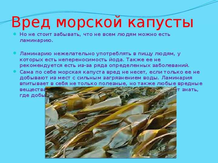 Консервированная морская: капуста польза и вред. рецепты салатов с морской капустой