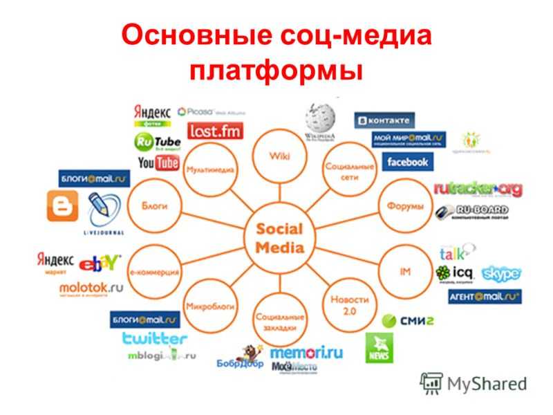 Виды социальных сетей проект