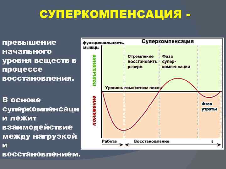 Восстановление мышц после интенсивных тренировок