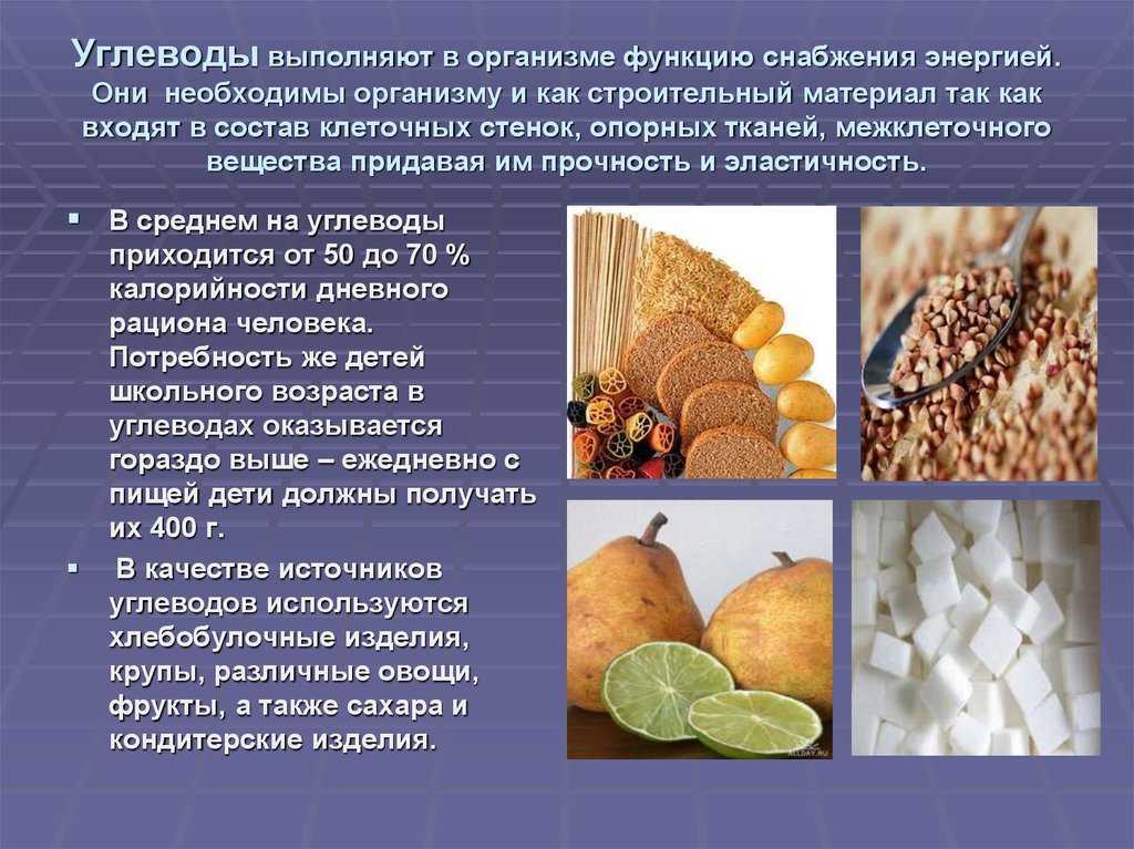 Таблица содержания белка в продуктах питания