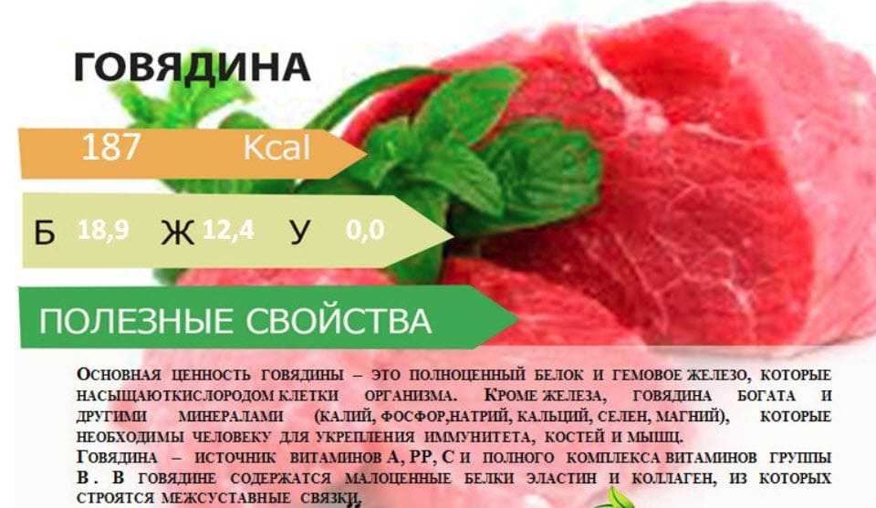 Таблица бжу продуктов в 100 граммах: белки, жиры, углеводы
