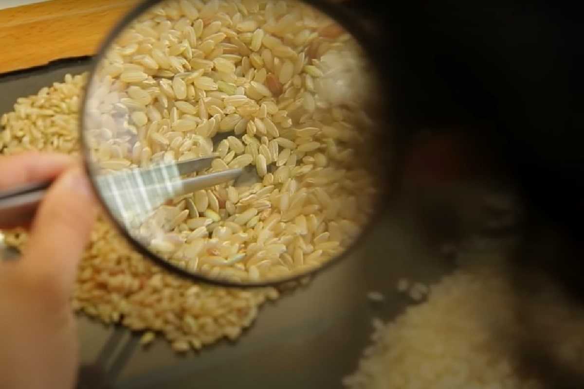 Порядок очищения организма рисом