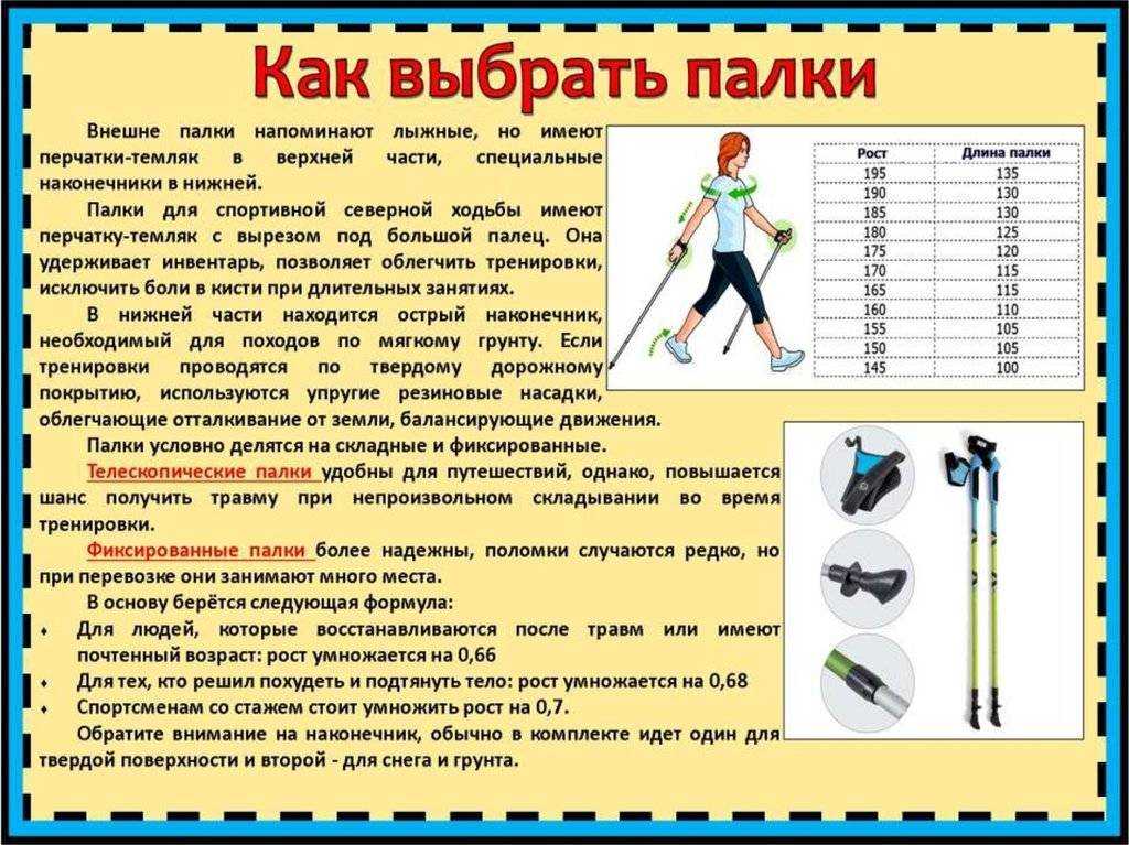 Как правильно выбрать палки для скандинавской ходьбы по росту и важным параметрам
как правильно выбрать палки для скандинавской ходьбы по росту и важным параметрам