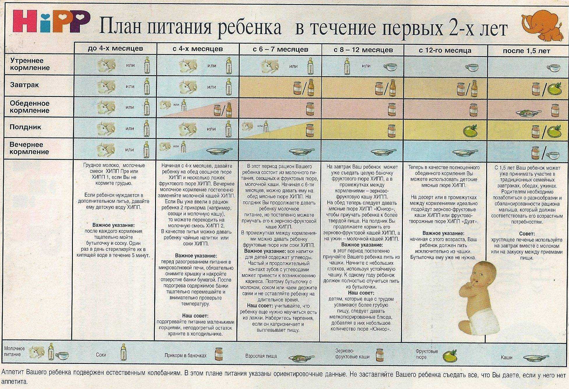 Правильное питание для детей - как научить ребенка правильно питаться - agulife.ru