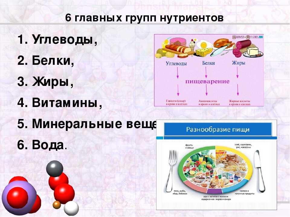 Рецепты салатов белки углеводы