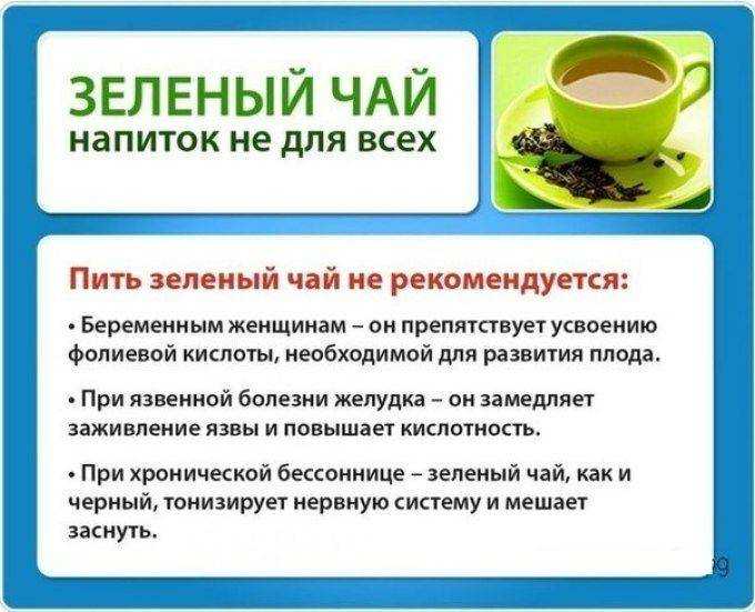 Как правильно и когда лучше пить зеленый чай