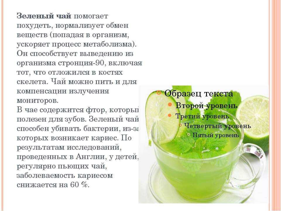 Помогает ли чайный гриб (комбуча) при похудении и как его принимать?