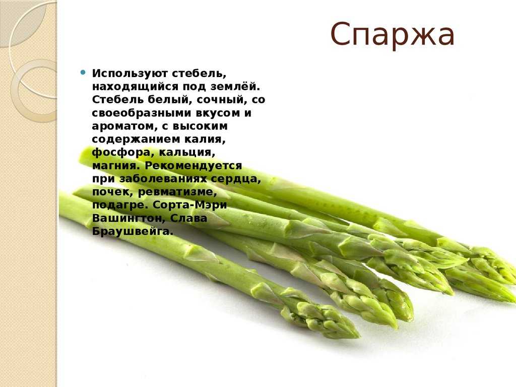 Спаржа по-корейски: польза и вред для здоровья человека