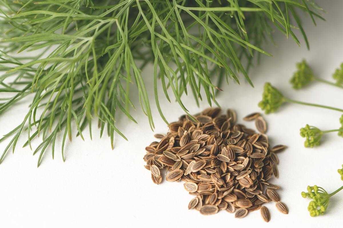 Кальций в продуктах: таблица, кальций в организме | food and health